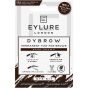 Eylure Pro-Brow Dybrow Dark Brown 